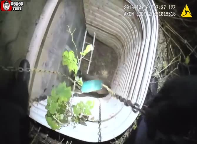 Video: A deer who fell into a window well is rescued by police